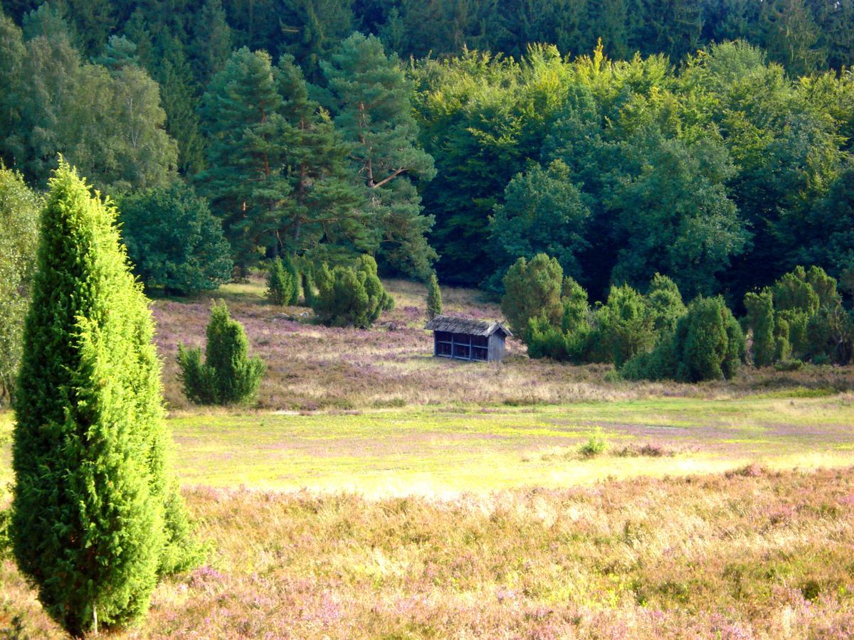 ביספינגן Landgasthaus Zum Naturschutzpark מראה חיצוני תמונה