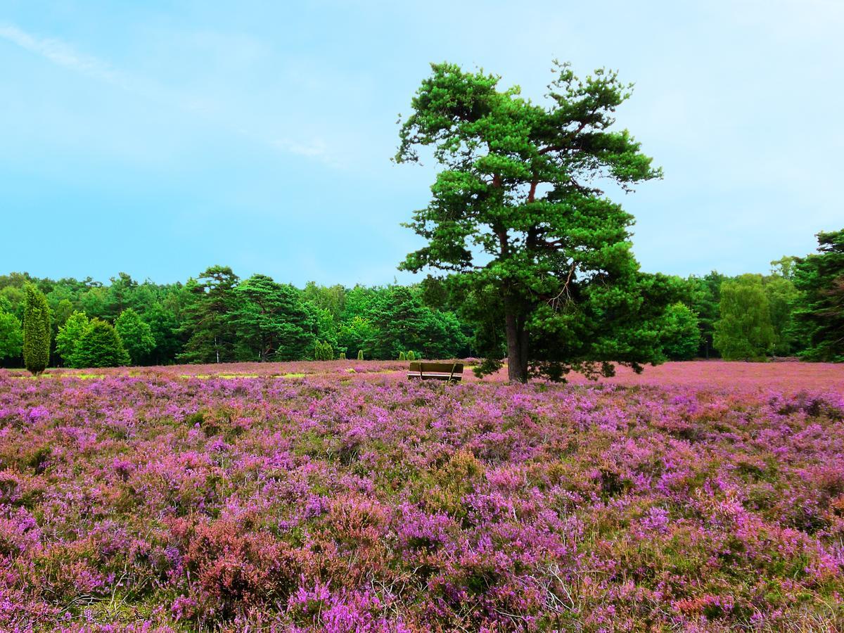 ביספינגן Landgasthaus Zum Naturschutzpark מראה חיצוני תמונה