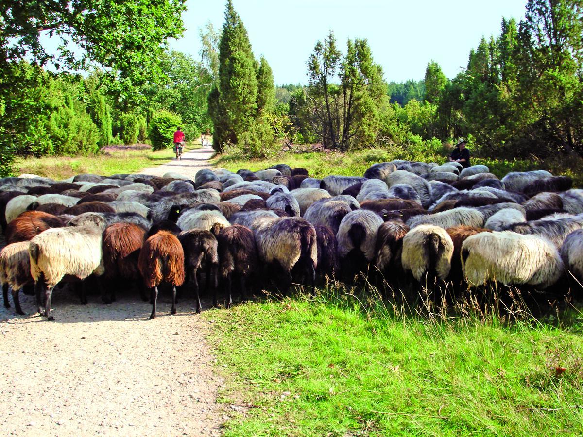 ביספינגן Landgasthaus Zum Naturschutzpark מראה חיצוני תמונה