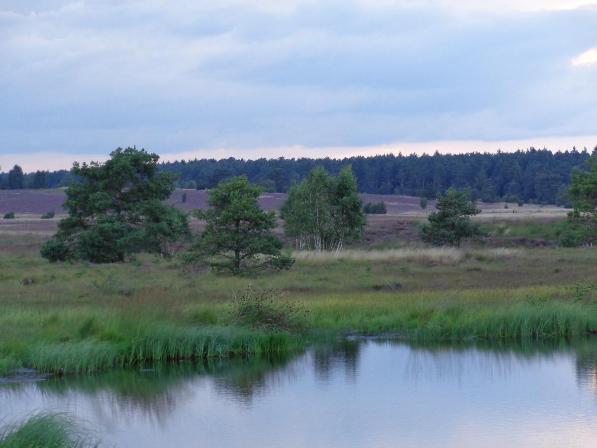 ביספינגן Landgasthaus Zum Naturschutzpark מראה חיצוני תמונה